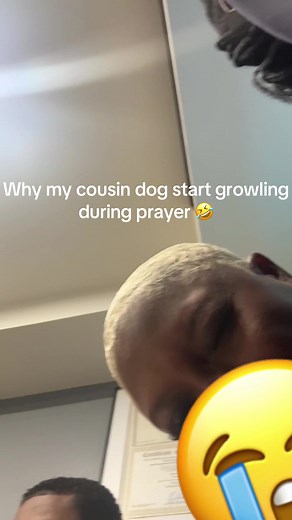Dog Growling During Prayer: A Hilarious Reaction