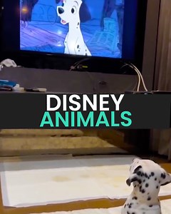 Watch Some Magical & Delightful Disney Animals 🪄 🐭 | Animal Antics