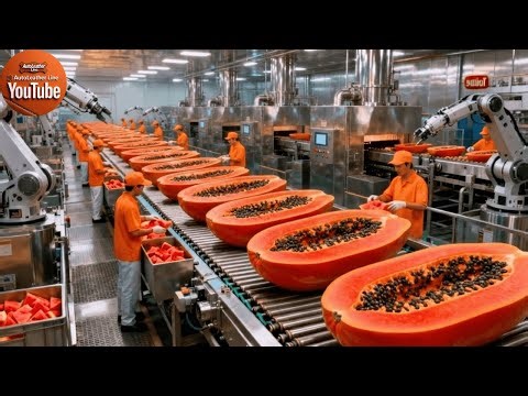 Inside a Fruit Juice Factory – How Millions of Bottles Are Made #1