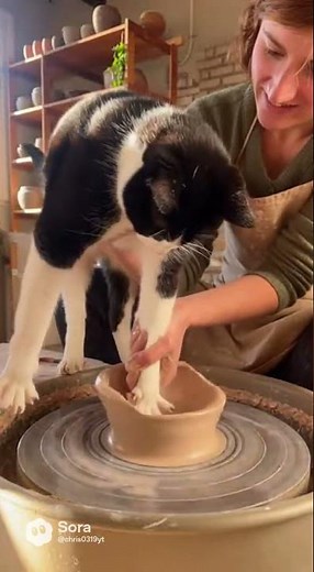 This Cat Jumped on a Pottery Wheel… and Became an Artist 🐾🎨😂 #cat #catandmousegame #cute
