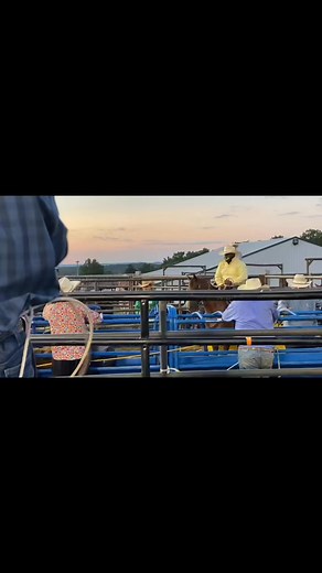 Lionel Brown on Reels