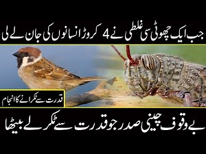 amazing development and history of chinese way of progress | Urdu Cover