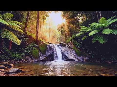 Beautiful Tropical Waterfall & Jungle Sounds – Deep Relaxation Nature Video