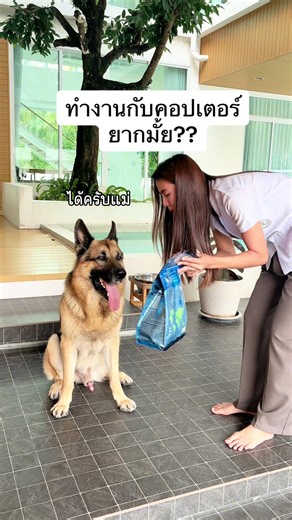 เบื้องหลังการถ่ายรีวิวอาหารสุนัข Buzz