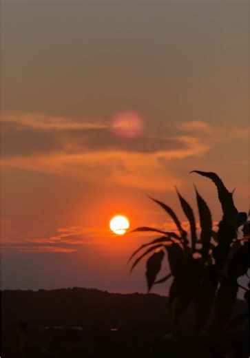 Golden hour magic. #aestetic #sunsetvibes #goldenhour #sunsetaesthetic #sunset