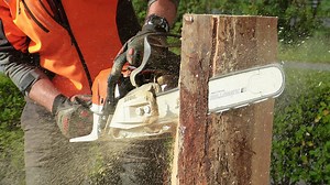 How to Use a Chainsaw Safely
