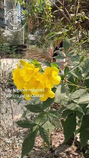 Jardín Botánico de Arboleda