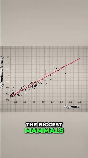 Metabolic Rate vs. Mass: Mammal & Bird Slopes Explained #shorts