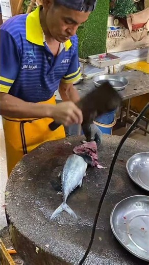 How to Cut Skipjack Tuna: A No-Fail Method for Beginners #fishcutting #fillet #shorts #skipjack