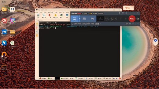 [Shell]Shell输出颜色