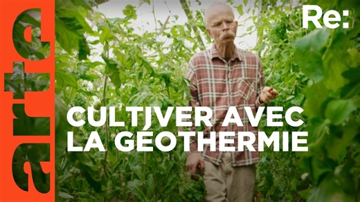 Documentaire | En Islande, le boom de légumes