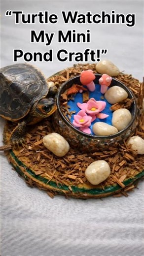 “DIY Mini Pond Using Old Bangle | Clay Craft Idea”with turtle 🐢
