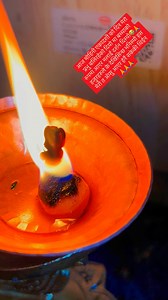 Nimmi Bhatta on Reels