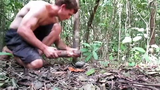 Primitive Technology- Stone Axe (celt)