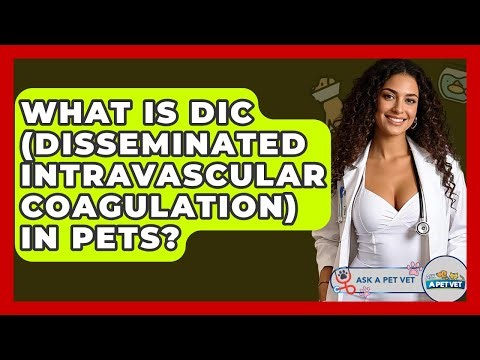 What Is DIC (Disseminated Intravascular Coagulation) In Pets? - Ask A Pet Vet