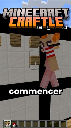 Minecraft Craftle 6