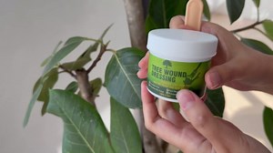 Tree Wound Sealer, Tree Pruning Sealer, Grafting, Pruning, and Wound Care for Damaged Trees, Used for Natural Wound Repair of Bonsai, Fruit Trees, Roses, and Bonsai, Waterproof Protection