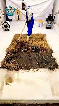 Rug Cleaning Magic – The Most Stunning Revival Yet