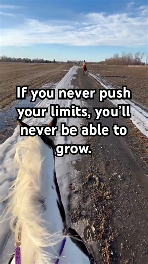 Quote of the week (2)