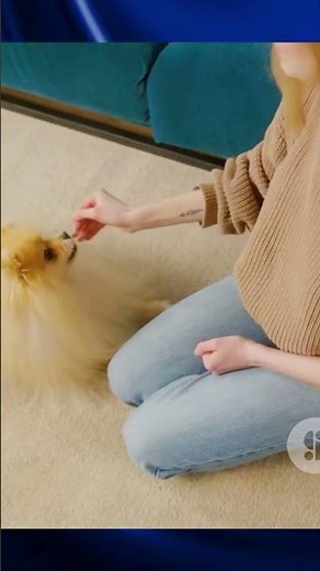 Puppy Training: The Best Methods (and the Worst)