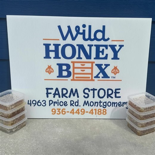 Comb Honey Available at Wild Honey Box!