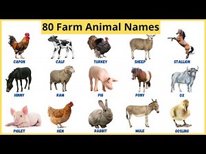 Learn Farm Animal Names in English