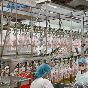 [Hot Item] Small Scale Automatic Chicken Breeding Machine Feather Dress Equipment Slaughter Evisceration Processing