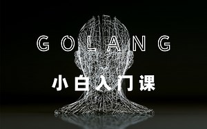 14- Go 语言小白入门课，for 循环的各种遍历方案 break，continue 以及 goto 跳转