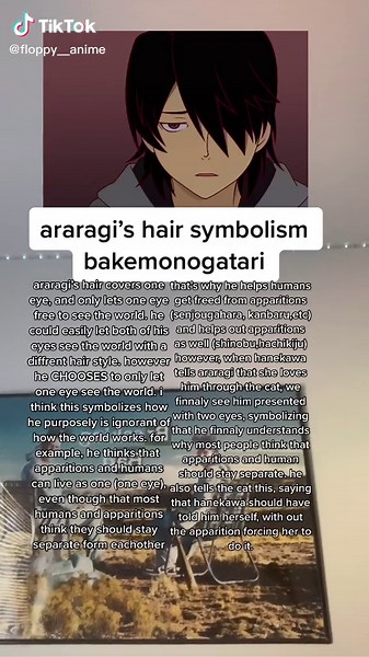 Araragi's Hair Symbolism in Bakemonogatari Explained