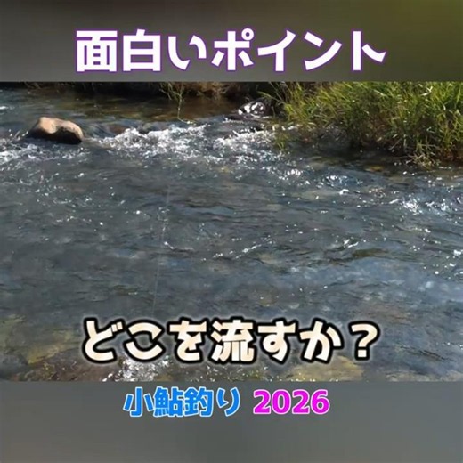 【小鮎の溜まる場所】面白い釣れ方 #小鮎釣り2026