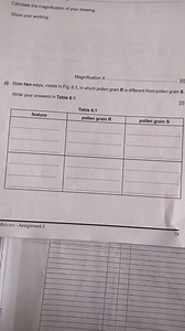 Calculate the magnification of your drawing.Show your working.... | Filo