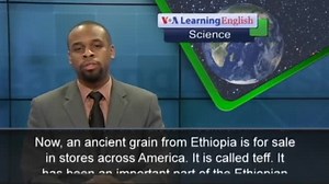 Will Ethiopia's Teff Be the Next Super Grain?