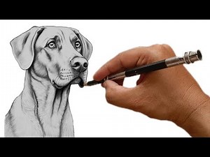 🎨 How to Draw a Dog Free Hand | Easy Sketch for Beginners