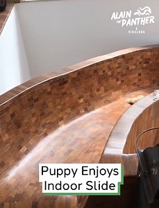 18K views · 419 reactions | Puppy Enjoys Indoor Slide | Alain 'The Panther' Ngalani | Facebook