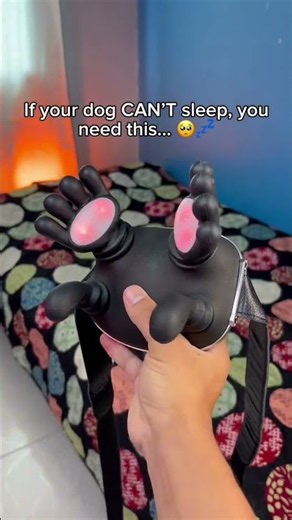 Help your furry friend unwind before bedtime with a gentle relaxing massage 🐶💤 #dog #pets #dogmom