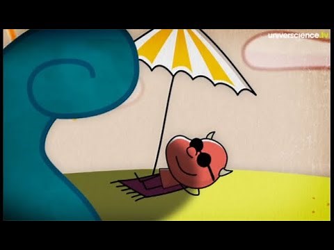 Vivre avec le risque