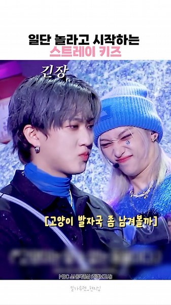 놀라고 시작하는 귀여운 스키즈 모음 #straykids #스키즈