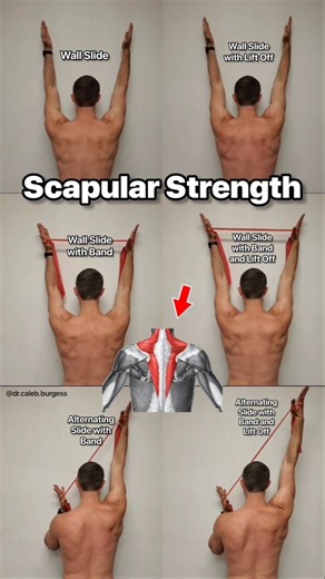 How to Build Scapular Strength - Scapular Wall Slide Exercises
