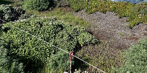 How to Plan a Reading Vacation