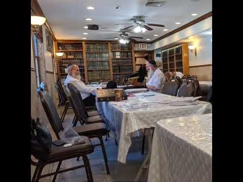 Beitza 22 b Y Schapiro