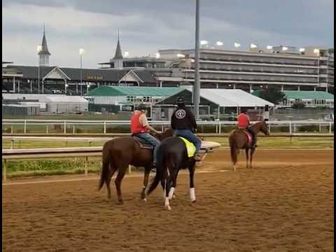 Kentucky Derby Preview with Ed De Rosa Dan Cronin and Jon Stettin