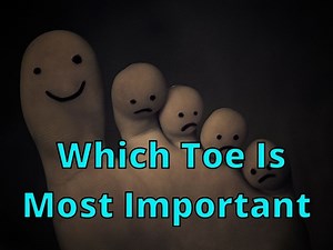 Which Toe is Most Important for Balance? - PostureInfoHub