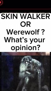 In this video, I want you to tell me what do you think this loud scream is??? Drop a comment down below and let me know #Paranormal #Evil #OhMyGod #WTF #ForYouPage #ParanormalActivity #Cryptid #Dcryptydbeast #? | paranormalvison
