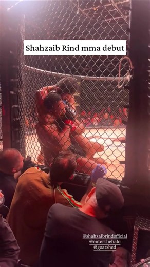 😱🇵🇰 shahzaib rind wins by KO on his mma debut #shahzaibrind #pakistanifighter #Knockout #trending