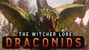 What are Draconids? The Witcher 3 Lore - Draconids