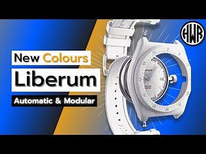 I Didn’t Expect This from a Budget Modular Watch