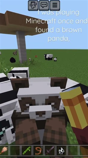 Minecraft brown panda🐼 #fyp #minecraft #panda #rare #brown