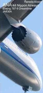 B789 可愛いシェブロンカットエンジン ANA ボーイング787 羽田空港 着陸 Boeing 787-9 Dreamliner #shorts #planespotting #b787