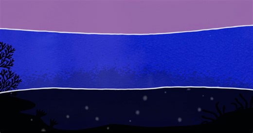 Ocean stratification | Ocean School