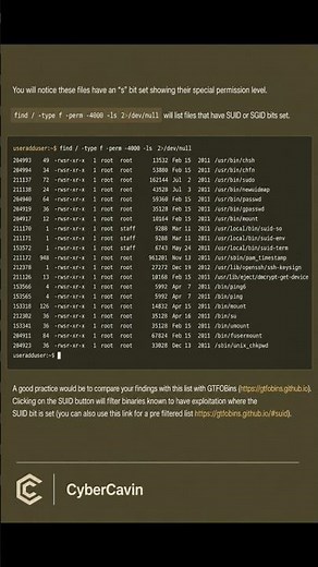 Linux find Command: Discover Files During System Enumeration